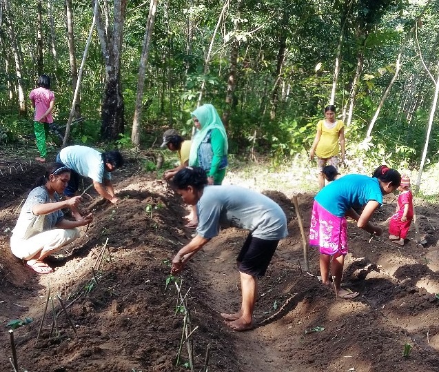 artikel_446884_penyuluh-kehutanan-membina-kelompok-wanita-tani-hutan-di-daerah-perbatasan-kab-sintang-dalam-mendukung-program-responsif-gender_20221003110201.jpg