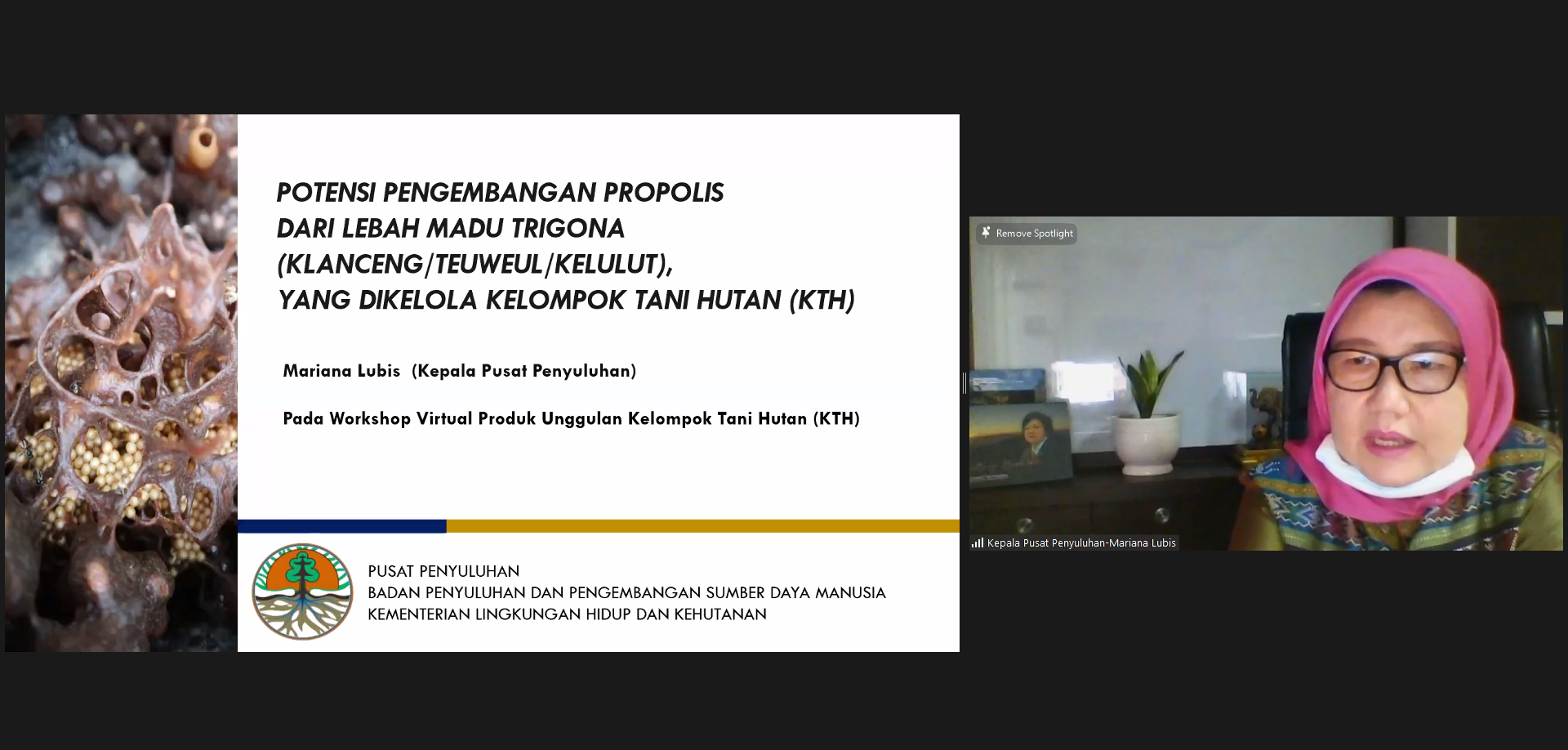 artikel_522541_kegiatan-virtual-propolis-berbuah-manis_20221003121225.png