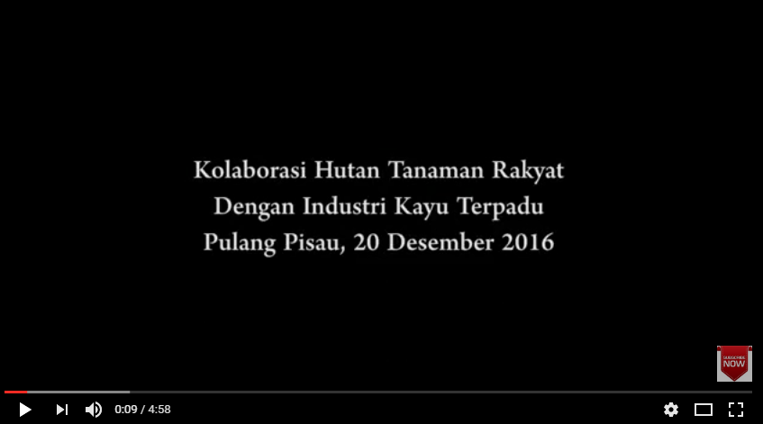 berita_437301_presiden-jokowi-kolaborasi-hutan-tanaman-rakyat-dengan-industri-kayu-terpadu-pulang-pisau-20-desember-2016-_20221003135802.png